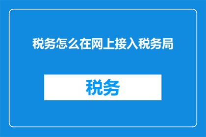 税务怎么在网上接入税务局