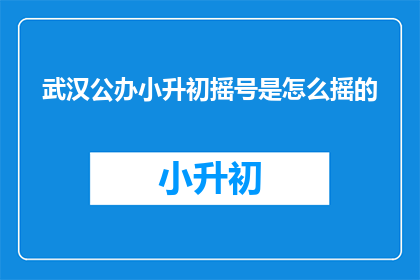 武汉公办小升初摇号是怎么摇的