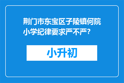 荆门市东宝区子陵镇何院小学纪律要求严不严？