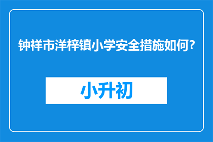 钟祥市洋梓镇小学安全措施如何？