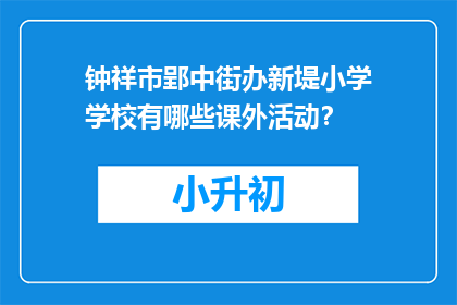 钟祥市郢中街办新堤小学学校有哪些课外活动？