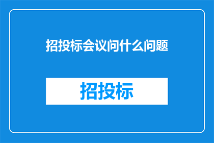 招投标会议问什么问题