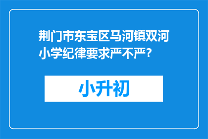 荆门市东宝区马河镇双河小学纪律要求严不严？