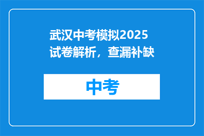 武汉中考模拟2025试卷解析，查漏补缺