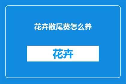 花卉散尾葵怎么养