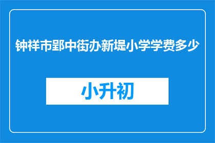 钟祥市郢中街办新堤小学学费多少
