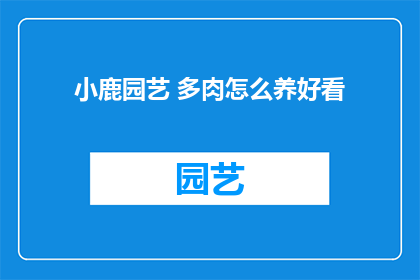 小鹿园艺 多肉怎么养好看