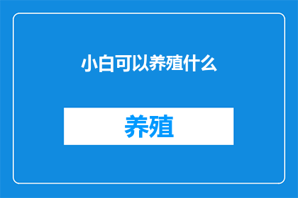 小白可以养殖什么