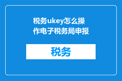 税务ukey怎么操作电子税务局申报