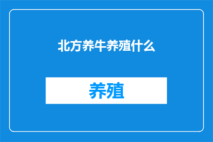 北方养牛养殖什么
