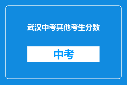 武汉中考其他考生分数