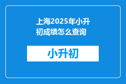 上海2025年小升初成绩怎么查询