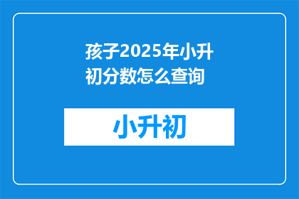孩子2025年小升初分数怎么查询