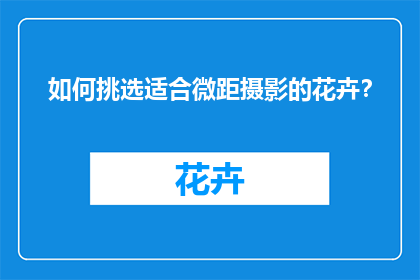 如何挑选适合微距摄影的花卉？