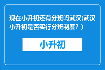 现在小升初还有分班吗武汉(武汉小升初是否实行分班制度？)