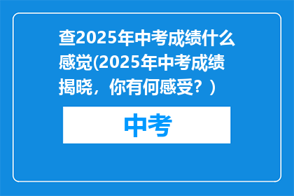 查2025年中考成绩什么感觉(2025年中考成绩揭晓，你有何感受？)