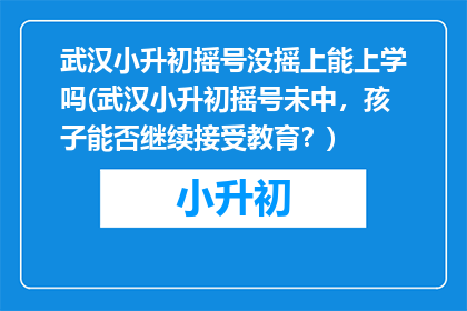 武汉小升初摇号没摇上能上学吗(武汉小升初摇号未中，孩子能否继续接受教育？)