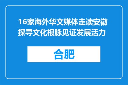 16家海外华文媒体走读安徽 探寻文化根脉见证发展活力