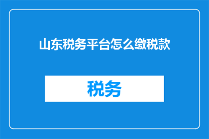 山东税务平台怎么缴税款