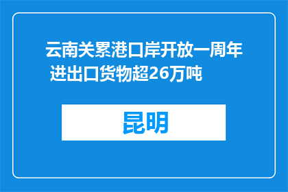 云南关累港口岸开放一周年 进出口货物超26万吨