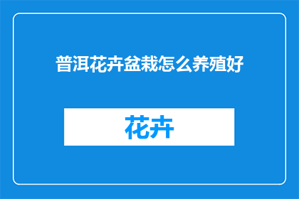 普洱花卉盆栽怎么养殖好(如何养护普洱花卉盆栽以保持其生机勃勃？)