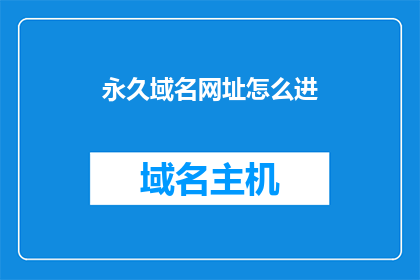 永久域名网址怎么进(如何访问永久域名的网址？)