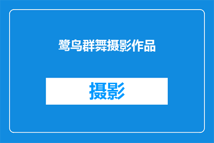 鹭鸟群舞摄影作品(鹭鸟群舞摄影作品：如何捕捉自然之美？)