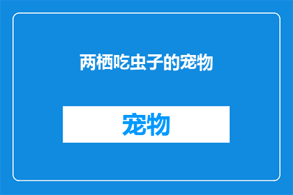 两栖吃虫子的宠物(探索神秘生物：两栖动物的捕食习性与生存之谜)