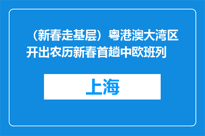 （新春走基层）粤港澳大湾区开出农历新春首趟中欧班列