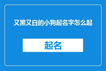 又黑又白的小狗起名字怎么起(如何为又黑又白的小狗起一个独特且吸引人的名字？)