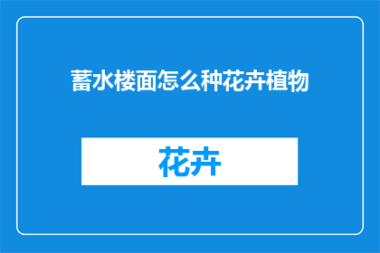 蓄水楼面怎么种花卉植物(如何高效地在蓄水楼面种植花卉植物？)