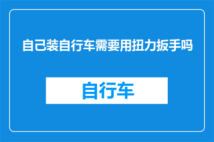 自己装自行车需要用扭力扳手吗(在装自行车时，是否必须使用扭力扳手？)