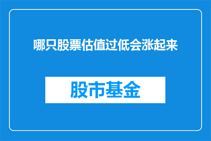 哪只股票估值过低会涨起来(哪只股票的估值水平尚未达到其内在价值？)
