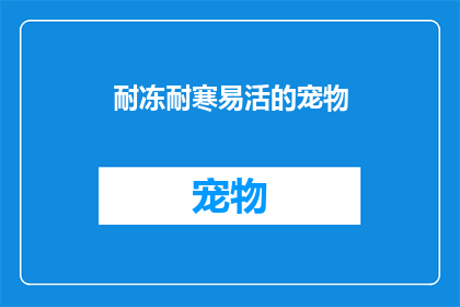 耐冻耐寒易活的宠物(哪些宠物能够适应极端气候，成为理想的耐冻耐寒伴侣？)