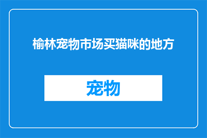 榆林宠物市场买猫咪的地方(在榆林宠物市场，哪里可以购买到可爱的猫咪？)