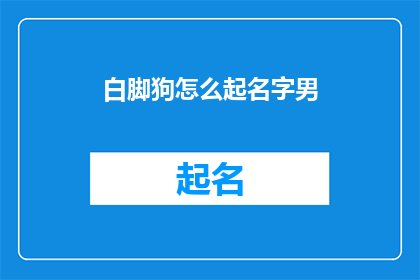 白脚狗怎么起名字男(如何为一只白脚狗起一个合适的名字？)